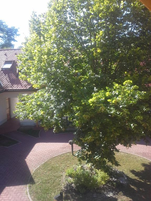 Apartment Nagelj Moravske-Toplice Exteriör bild